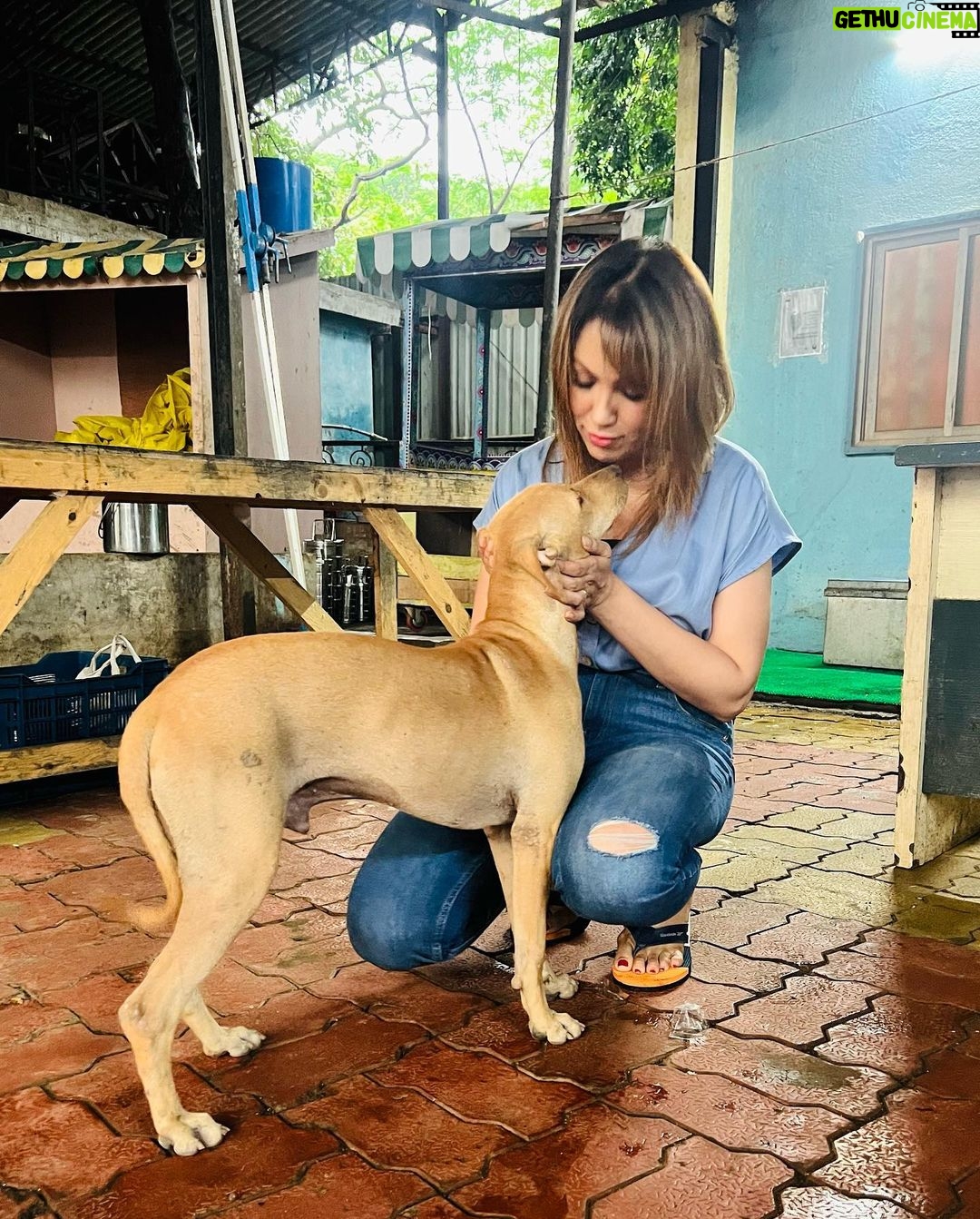 Munmun Dutta Instagram - Some āDā company for myself in between takes š„ š š¤ š¶ š . . . #munmundutta #picturesoftheday #behindthescenes #tmkoc #onsetlife #doglove #puppygram #inbetweentakes #inbetweenshots Dadasaheb Phalke Chitranagari FILMCITY Goregaon East Mumbai