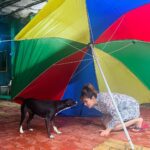 Munmun Dutta Instagram – Some ‘D’ company for myself in between takes 🎥 😍 🤗 🐶 🐕 
.
.
.
#munmundutta #picturesoftheday #behindthescenes #tmkoc #onsetlife #doglove #puppygram #inbetweentakes #inbetweenshots Dadasaheb Phalke Chitranagari FILMCITY Goregaon East Mumbai