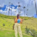 Munmun Dutta Instagram – Cocora valley was a dream come true ! Home to the  wax palm trees, 🌴 the tallest in the world and also Colombia’s national tree .. 

Rode the Willys 🚗, Trekked around the valley for hours, went deeper into the jungle, came across streams and hanging bridges , GOT LOST , took a U turn after 2 hours and finally found the las palmas 🌴(the palms) , met peruvian people 🇵🇪 and shared my travel stories of their country,  sat on the steep trail catching my breath with my umbrella ☂️ and taking it all in… the beauty that sorrounded me all around thinking Who knows when will I be back here again ! So live in the moment, save it all in your mind and get back with some exciting stories… Because that’s what travel is all about.. your experiences , doesn’t matter if it’s good or bad, that makes up for all the incredible stories for future. 
 
Good morning my India 🇮🇳 
Buenas Noches mi Colombia 🇨🇴 where I go off to sleep now 😴 

#munmundutta #mytraveldiary #colombia #cocoravalley #salento #valledecocora #southamerica #solotravel #sologirltravel #travelstories #colombia🇨🇴 #discoversouthamerica #travelstories Valle de Cocora