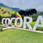 Munmun Dutta Instagram – Cocora valley was a dream come true ! Home to the  wax palm trees, 🌴 the tallest in the world and also Colombia’s national tree .. 

Rode the Willys 🚗, Trekked around the valley for hours, went deeper into the jungle, came across streams and hanging bridges , GOT LOST , took a U turn after 2 hours and finally found the las palmas 🌴(the palms) , met peruvian people 🇵🇪 and shared my travel stories of their country,  sat on the steep trail catching my breath with my umbrella ☂️ and taking it all in… the beauty that sorrounded me all around thinking Who knows when will I be back here again ! So live in the moment, save it all in your mind and get back with some exciting stories… Because that’s what travel is all about.. your experiences , doesn’t matter if it’s good or bad, that makes up for all the incredible stories for future. 
 
Good morning my India 🇮🇳 
Buenas Noches mi Colombia 🇨🇴 where I go off to sleep now 😴 

#munmundutta #mytraveldiary #colombia #cocoravalley #salento #valledecocora #southamerica #solotravel #sologirltravel #travelstories #colombia🇨🇴 #discoversouthamerica #travelstories Valle de Cocora