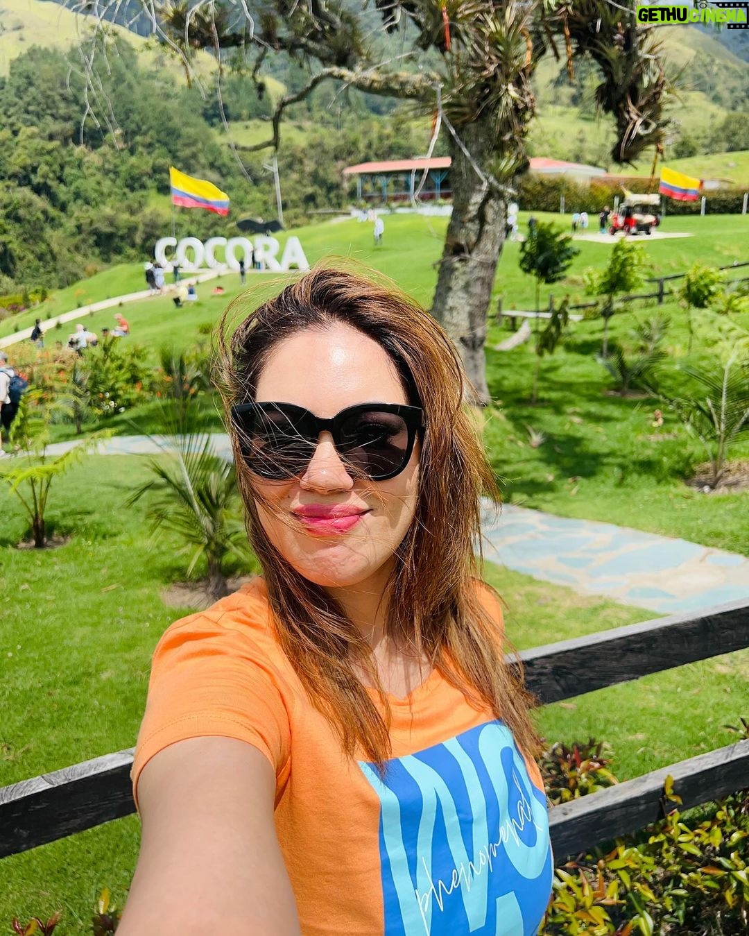 Munmun Dutta Instagram - Cocora valley was a dream come true ! Home to the wax palm trees, 🌴 the tallest in the world and also Colombia’s national tree .. Rode the Willys 🚗, Trekked around the valley for hours, went deeper into the jungle, came across streams and hanging bridges , GOT LOST , took a U turn after 2 hours and finally found the las palmas 🌴(the palms) , met peruvian people 🇵🇪 and shared my travel stories of their country, sat on the steep trail catching my breath with my umbrella ☂️ and taking it all in… the beauty that sorrounded me all around thinking Who knows when will I be back here again ! So live in the moment, save it all in your mind and get back with some exciting stories… Because that’s what travel is all about.. your experiences , doesn’t matter if it’s good or bad, that makes up for all the incredible stories for future. Good morning my India 🇮🇳 Buenas Noches mi Colombia 🇨🇴 where I go off to sleep now 😴 #munmundutta #mytraveldiary #colombia #cocoravalley #salento #valledecocora #southamerica #solotravel #sologirltravel #travelstories #colombia🇨🇴 #discoversouthamerica #travelstories Valle de Cocora