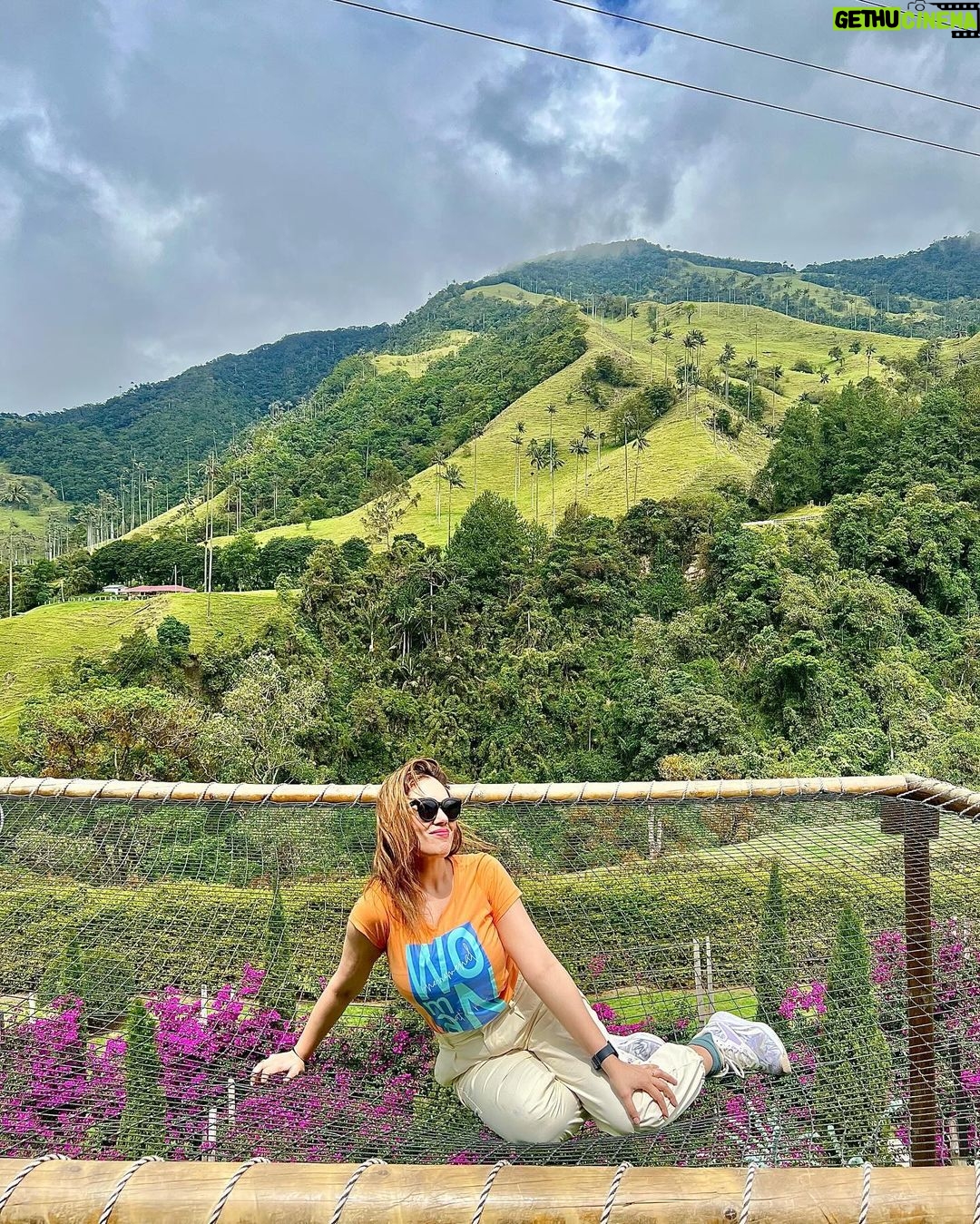 Munmun Dutta Instagram - Cocora valley was a dream come true ! Home to the wax palm trees, 🌴 the tallest in the world and also Colombia’s national tree .. Rode the Willys 🚗, Trekked around the valley for hours, went deeper into the jungle, came across streams and hanging bridges , GOT LOST , took a U turn after 2 hours and finally found the las palmas 🌴(the palms) , met peruvian people 🇵🇪 and shared my travel stories of their country, sat on the steep trail catching my breath with my umbrella ☂️ and taking it all in… the beauty that sorrounded me all around thinking Who knows when will I be back here again ! So live in the moment, save it all in your mind and get back with some exciting stories… Because that’s what travel is all about.. your experiences , doesn’t matter if it’s good or bad, that makes up for all the incredible stories for future. Good morning my India 🇮🇳 Buenas Noches mi Colombia 🇨🇴 where I go off to sleep now 😴 #munmundutta #mytraveldiary #colombia #cocoravalley #salento #valledecocora #southamerica #solotravel #sologirltravel #travelstories #colombia🇨🇴 #discoversouthamerica #travelstories Valle de Cocora