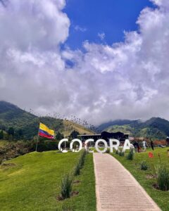 Munmun Dutta Instagram - Cocora valley was a dream come true ! Home to the wax palm trees, 🌴 the tallest in the world and also Colombia’s national tree .. Rode the Willys 🚗, Trekked around the valley for hours, went deeper into the jungle, came across streams and hanging bridges , GOT LOST , took a U turn after 2 hours and finally found the las palmas 🌴(the palms) , met peruvian people 🇵🇪 and shared my travel stories of their country, sat on the steep trail catching my breath with my umbrella ☂️ and taking it all in… the beauty that sorrounded me all around thinking Who knows when will I be back here again ! So live in the moment, save it all in your mind and get back with some exciting stories… Because that’s what travel is all about.. your experiences , doesn’t matter if it’s good or bad, that makes up for all the incredible stories for future. Good morning my India 🇮🇳 Buenas Noches mi Colombia 🇨🇴 where I go off to sleep now 😴 #munmundutta #mytraveldiary #colombia #cocoravalley #salento #valledecocora #southamerica #solotravel #sologirltravel #travelstories #colombia🇨🇴 #discoversouthamerica #travelstories Valle de Cocora