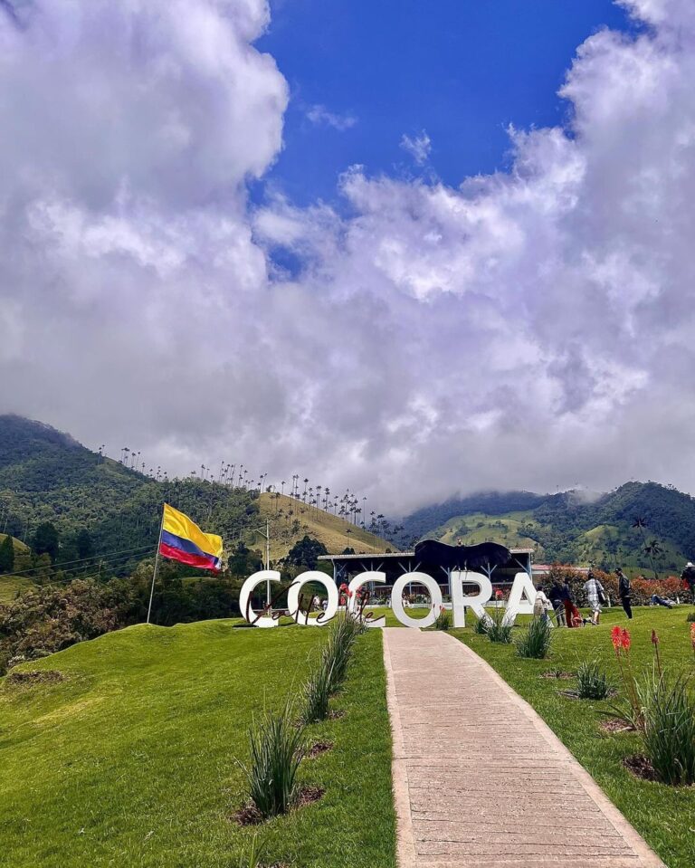 Munmun Dutta Instagram - Cocora valley was a dream come true ! Home to the wax palm trees, 🌴 the tallest in the world and also Colombia’s national tree .. Rode the Willys 🚗, Trekked around the valley for hours, went deeper into the jungle, came across streams and hanging bridges , GOT LOST , took a U turn after 2 hours and finally found the las palmas 🌴(the palms) , met peruvian people 🇵🇪 and shared my travel stories of their country, sat on the steep trail catching my breath with my umbrella ☂️ and taking it all in… the beauty that sorrounded me all around thinking Who knows when will I be back here again ! So live in the moment, save it all in your mind and get back with some exciting stories… Because that’s what travel is all about.. your experiences , doesn’t matter if it’s good or bad, that makes up for all the incredible stories for future. Good morning my India 🇮🇳 Buenas Noches mi Colombia 🇨🇴 where I go off to sleep now 😴 #munmundutta #mytraveldiary #colombia #cocoravalley #salento #valledecocora #southamerica #solotravel #sologirltravel #travelstories #colombia🇨🇴 #discoversouthamerica #travelstories Valle de Cocora