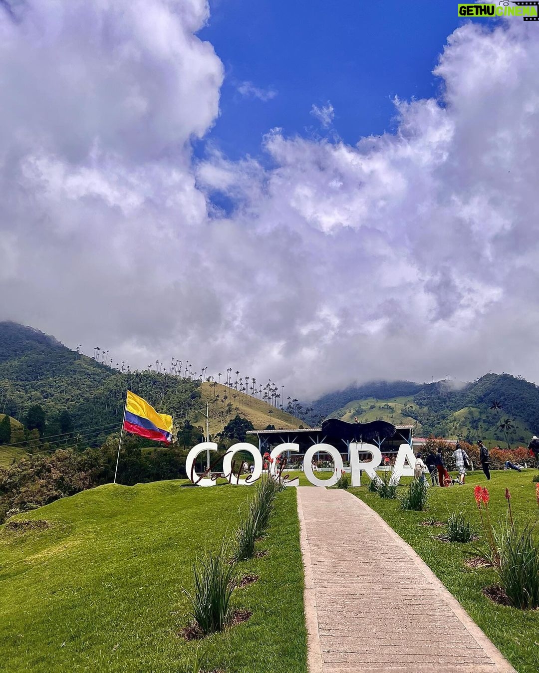 Munmun Dutta Instagram - Cocora valley was a dream come true ! Home to the wax palm trees, 🌴 the tallest in the world and also Colombia’s national tree .. Rode the Willys 🚗, Trekked around the valley for hours, went deeper into the jungle, came across streams and hanging bridges , GOT LOST , took a U turn after 2 hours and finally found the las palmas 🌴(the palms) , met peruvian people 🇵🇪 and shared my travel stories of their country, sat on the steep trail catching my breath with my umbrella ☂️ and taking it all in… the beauty that sorrounded me all around thinking Who knows when will I be back here again ! So live in the moment, save it all in your mind and get back with some exciting stories… Because that’s what travel is all about.. your experiences , doesn’t matter if it’s good or bad, that makes up for all the incredible stories for future. Good morning my India 🇮🇳 Buenas Noches mi Colombia 🇨🇴 where I go off to sleep now 😴 #munmundutta #mytraveldiary #colombia #cocoravalley #salento #valledecocora #southamerica #solotravel #sologirltravel #travelstories #colombia🇨🇴 #discoversouthamerica #travelstories Valle de Cocora