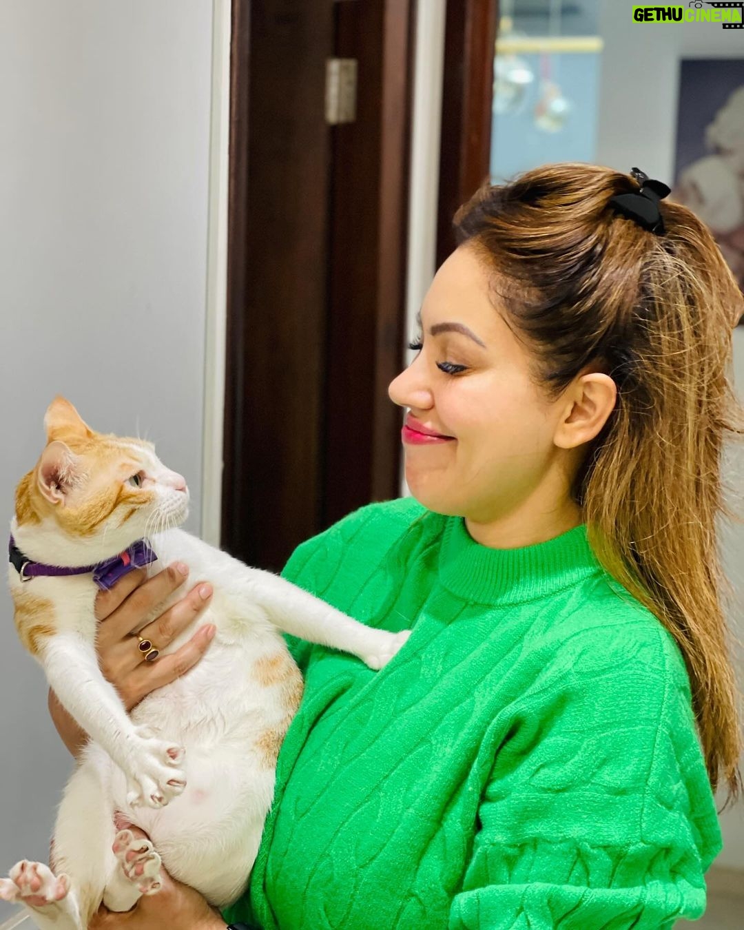 Munmun Dutta Instagram - And off I go for a long trip ๐งณ Ready for an almost 24 hour flight โ๏ธ ๐ฎโ๐จ . and saying bye to my babies ๐ฑ ๐โค๏ธ๐ค Destination reveal soon ๐ . #munmundutta #travel #traveldiaries