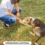 Murat Kekilli Instagram – Sevgi de tıpkı müzik gibi bulaşıcıdır.😊🤘🎸