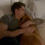 Myles Erlick Instagram - Cuddles are a very serious thing in our household🙌🏼 • • • #rescue #pooch #dog #dogsofinstagram #rescuedog #lab #cuddles #instagram #lifestyle #explore