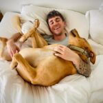 Myles Erlick Instagram - “We’re sleepin in mom” 😆❤️ • • • • #dogsofinstagram #rescue #rescuedog #pooch #doggo #lab #explore #insta #picoftheday #lifestyle #dogs