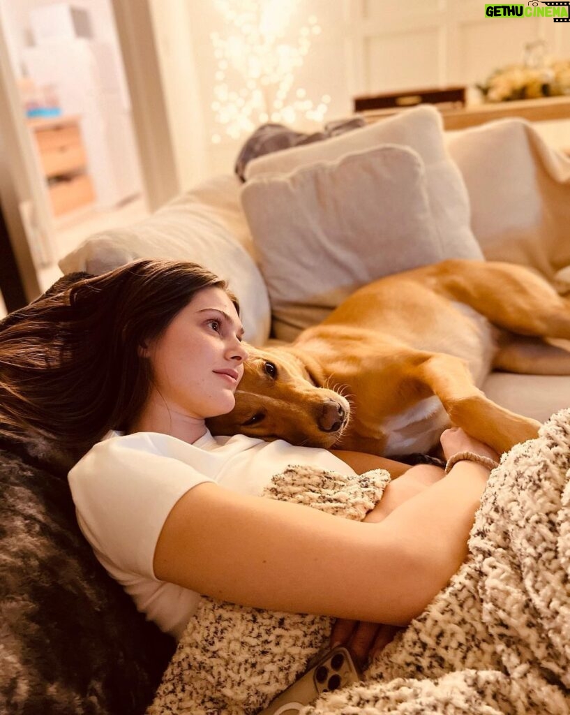 Myles Erlick Instagram - Well my little girl is 3 years old today, and yes I am making a post about my dog’s birthday cause she is my best friend and I don’t know what I’d do without her❤️Lots of toys and treats for you moo moo!! @emilyfiish thank you for loving her unconditionally, we love you foreva!🙏🏼 HAPPY BIRTHDAY MUNZIE ! #dogsofinstagram #rescuedog #pooch #monroe #doggo #instagram #explore