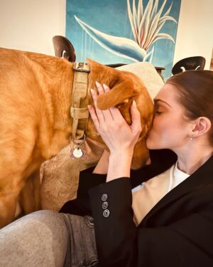 Myles Erlick Instagram - Well my little girl is 3 years old today, and yes I am making a post about my dog’s birthday cause she is my best friend and I don’t know what I’d do without her❤️Lots of toys and treats for you moo moo!! @emilyfiish thank you for loving her unconditionally, we love you foreva!🙏🏼
HAPPY BIRTHDAY MUNZIE !
#dogsofinstagram #rescuedog #pooch #monroe #doggo #instagram #explore