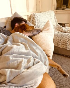 Myles Erlick Instagram - Cuddles are a very serious thing in our household🙌🏼
•
•
•
#rescue #pooch #dog #dogsofinstagram #rescuedog #lab #cuddles #instagram #lifestyle #explore