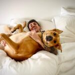 Myles Erlick Instagram - “We’re sleepin in mom” 😆❤️ • • • • #dogsofinstagram #rescue #rescuedog #pooch #doggo #lab #explore #insta #picoftheday #lifestyle #dogs