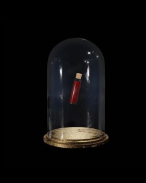 Nadezhda Tolokonnikova Instagram - DRINK MY BLOOD 🩸(2021). Blood drips on top of my freedom certificate, the only one thing that my government gave me after stealing 2 years of my life.

This work went to three exhibits this year - solo exhibit in New Mexico at @container_turnercarroll and as a part of a group show "LIFELIKE" in California's Los Angeles and Cal Poly (curated by @katie_peyton_ )

Digital freedom certificate (replicated from a physical one by @kstihu ) and a vial of my blood collected by @pleasrdao in Dec 2021.