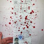 Nadezhda Tolokonnikova Instagram - DRINK MY BLOOD 🩸(2021). Blood drips on top of my freedom certificate, the only one thing that my government gave me after stealing 2 years of my life. This work went to three exhibits this year - solo exhibit in New Mexico at @container_turnercarroll and as a part of a group show "LIFELIKE" in California's Los Angeles and Cal Poly (curated by @katie_peyton_ ) Digital freedom certificate (replicated from a physical one by @kstihu ) and a vial of my blood collected by @pleasrdao in Dec 2021.