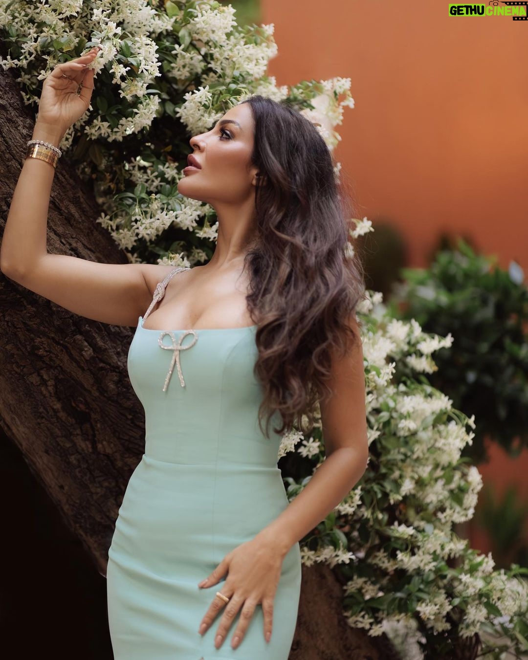 Nadine Nassib Njeim - 209.3K Likes - إنك في أسوأ حالاتك لن يكرهك الجميع كما أنك في أفضل حالاتك لن يُحبّك الجميع وأنه كاف للغاية لتعيش بسعادة ورضى؟
#نادين_نسيب_نجيم
