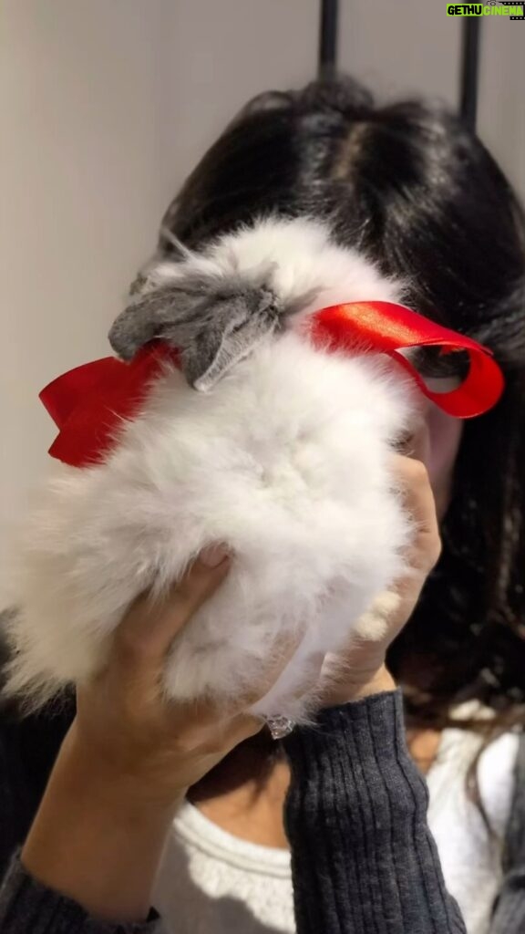 Nadine Njeim Instagram - Whito is my rabbit 😂