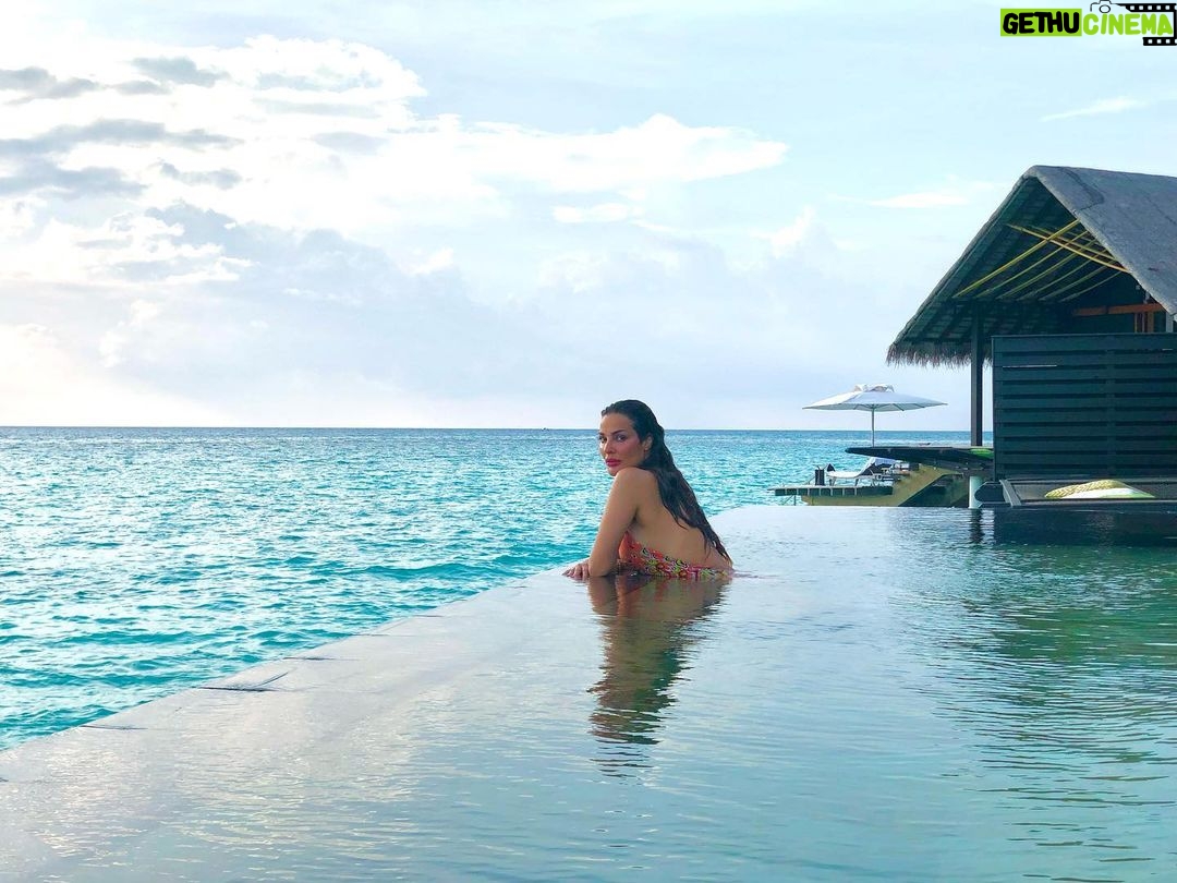 Nadine Nassib Njeim - 513.7K Likes - I followed my heart and it took me all the way to the Maldives , a place of Heaven on earth 🐠🐬🐳🐙🦀🍉
@ooreethirah
#nadinenassibnjeim
#نادين_نسيب_نجيم