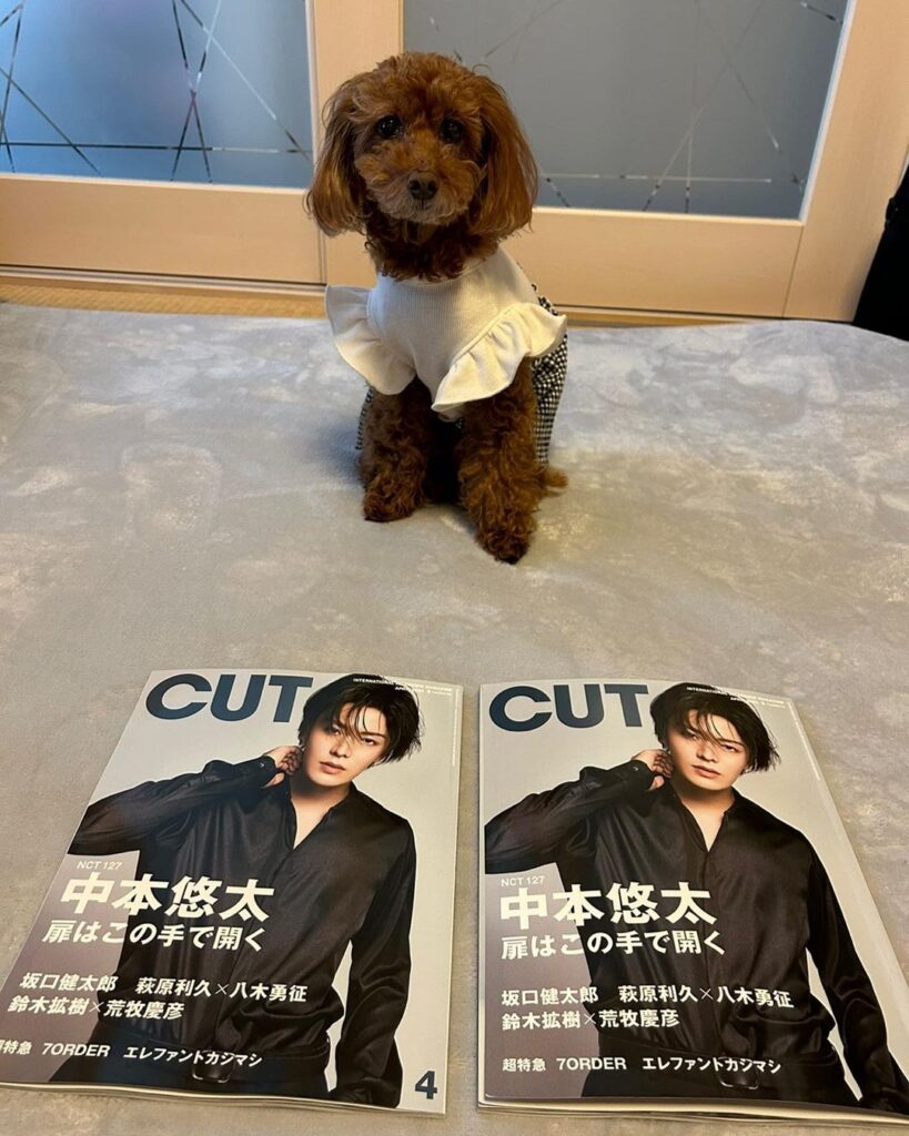 Nakamoto Yuta Instagram - CUT4月号　本日発売！ 1万文字インタビューも素敵にまとめていただきました！ お見逃しなく！