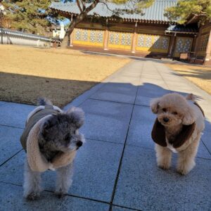 Nam Joo-hyuk Instagram - 👍