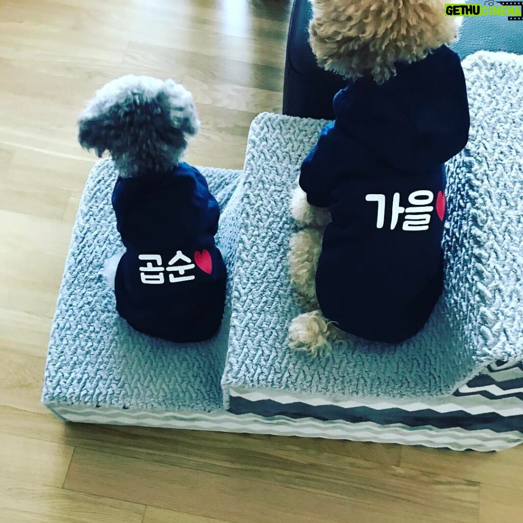 Nam Joo-hyuk Instagram - ❤️❤️