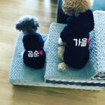 Nam Joo-hyuk Instagram - ❤️❤️