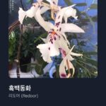 Nam Kyu-hee Instagram – 제일 좋아하는 리도어 컴백 기념으로..! 🎧
우리모두 따뜻한 1월 보내자요.🙂❄️