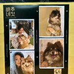 Nam Kyu-hee Instagram – 우아아아~🫶🏻 #혜영 이 커피차다아💛💛💛 
#에스라인 화이팅🥰