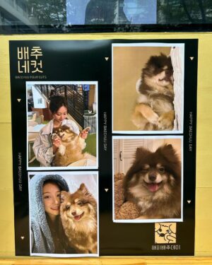 Nam Kyu-hee Instagram - 우아아아~🫶🏻 #혜영 이 커피차다아💛💛💛 
#에스라인 화이팅🥰