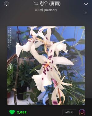 Nam Kyu-hee Instagram - 