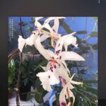 Nam Kyu-hee Instagram –