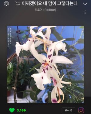 Nam Kyu-hee Instagram - 