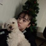 Nana Yamada Instagram - 12月24日ですね🎅❤️💚 みんなクリスマスイブ楽しんでるのかな〜〜☺️？ わたしは藤江さんから恐ろしいLINEが届いたイブです☺️笑