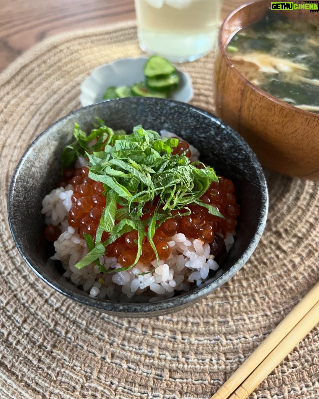 Nana Yamada Instagram - 11月もあと少し🥲はやいね。 おはようございます😎🌱