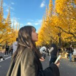 Nana Yamada Instagram – むかーしむかし
あるとき門限がなくなったのにも関わらず
いつも19:00とか20:00に帰る私を見てお母さんが
「なんでこんな時間に帰ってくるの!もったいない!もっかい遊びに行っといで!」
って言われたことを鮮明に思い出しました☺︎笑
遅くなって怒られるパターンはあっても、
早く帰って怒られるパターンは珍しくない?🥹笑
冬になると15:00にはあぁもう夜やって思うねんけど
誰か共感してくれる人おる?🥺笑
いちょう並木がとても綺麗でした🍁 神宮外苑いちょう並木
