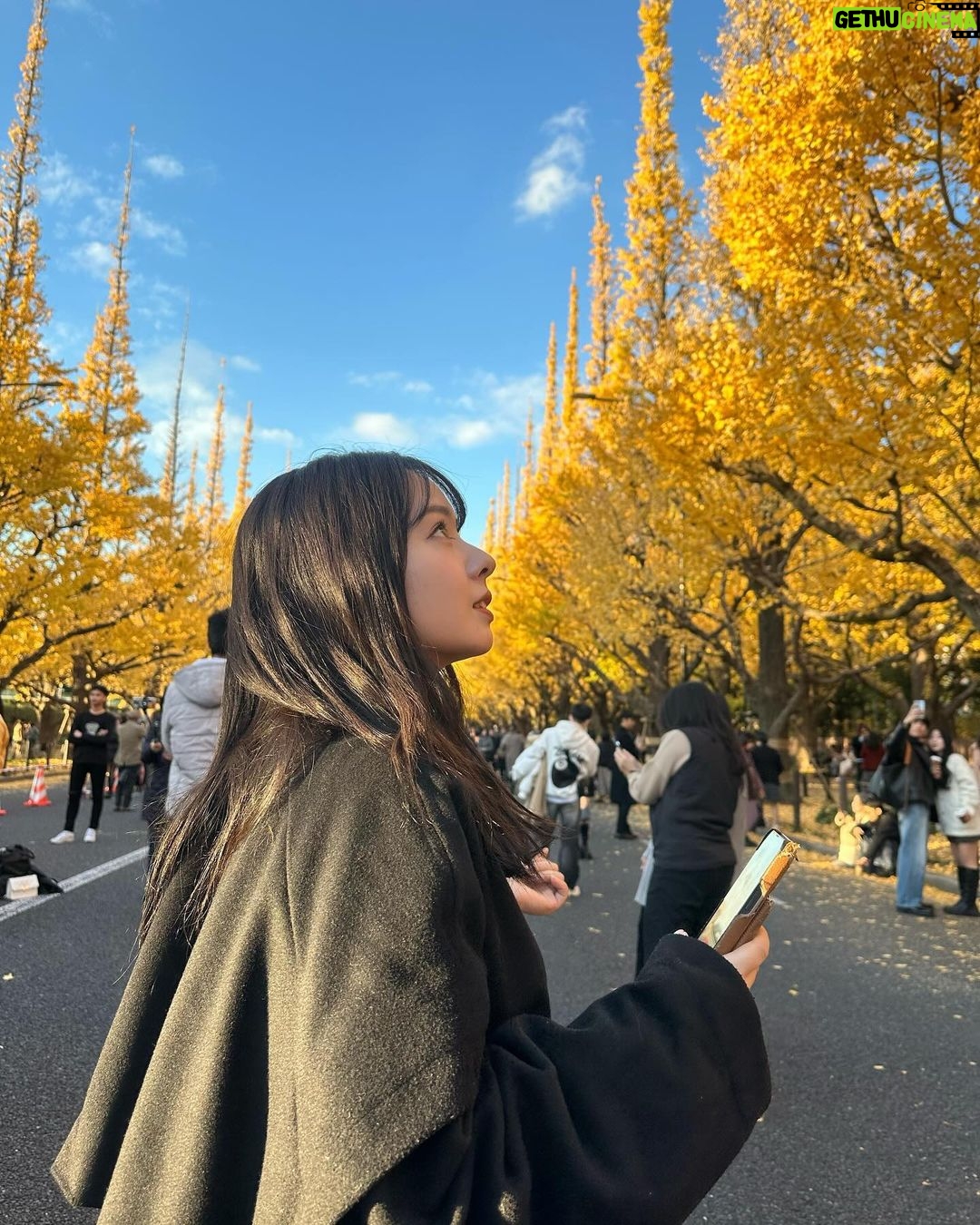 Nana Yamada - 6.4K Likes - むかーしむかし
あるとき門限がなくなったのにも関わらず
いつも19:00とか20:00に帰る私を見てお母さんが
「なんでこんな時間に帰ってくるの!もったいない!もっかい遊びに行っといで!」
って言われたことを鮮明に思い出しました☺︎笑
遅くなって怒られるパターンはあっても、
早く帰って怒られるパターンは珍しくない?🥹笑
冬になると15:00にはあぁもう夜やって思うねんけど
誰か共感してくれる人おる?🥺笑
いちょう並木がとても綺麗でした🍁