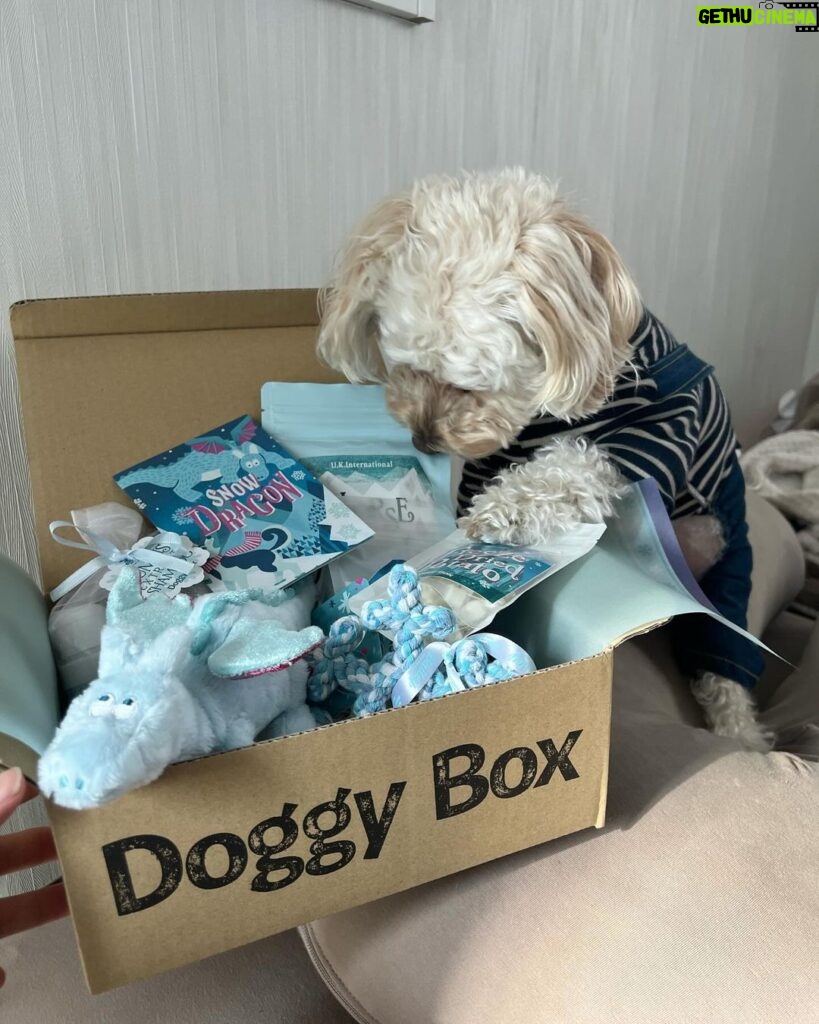 Nana Yamada Instagram - 今月のdoggy box 🐕🤎 今月のテーマは”SNOW DRAGON”🐲❄️ おもちゃ2つにジャンプー🛁 フリーズドライ北海道ポテト🍟 粗挽きスナック鶏ささみ🍖 馬アキレス薄延べ🐩 (私のおやつより豪華ではっ🫣？笑) 今月も早速おやつ泥棒でした☺️♡ 動画もみてね〜〜🙇🏻‍♀️ #doggybox #ドギボ #PR