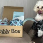 Nana Yamada Instagram – 今月のdoggy box 🐕🤎

今月のテーマは”SNOW DRAGON”🐲❄️

おもちゃ2つにジャンプー🛁

フリーズドライ北海道ポテト🍟
粗挽きスナック鶏ささみ🍖
馬アキレス薄延べ🐩
(私のおやつより豪華ではっ🫣？笑)

今月も早速おやつ泥棒でした☺️♡
動画もみてね〜〜🙇🏻‍♀️

#doggybox #ドギボ #PR