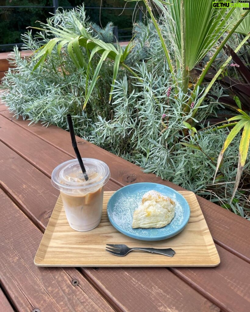 Nanase Yoshikawa Instagram - カフェラテ毎日飲んでます！！！