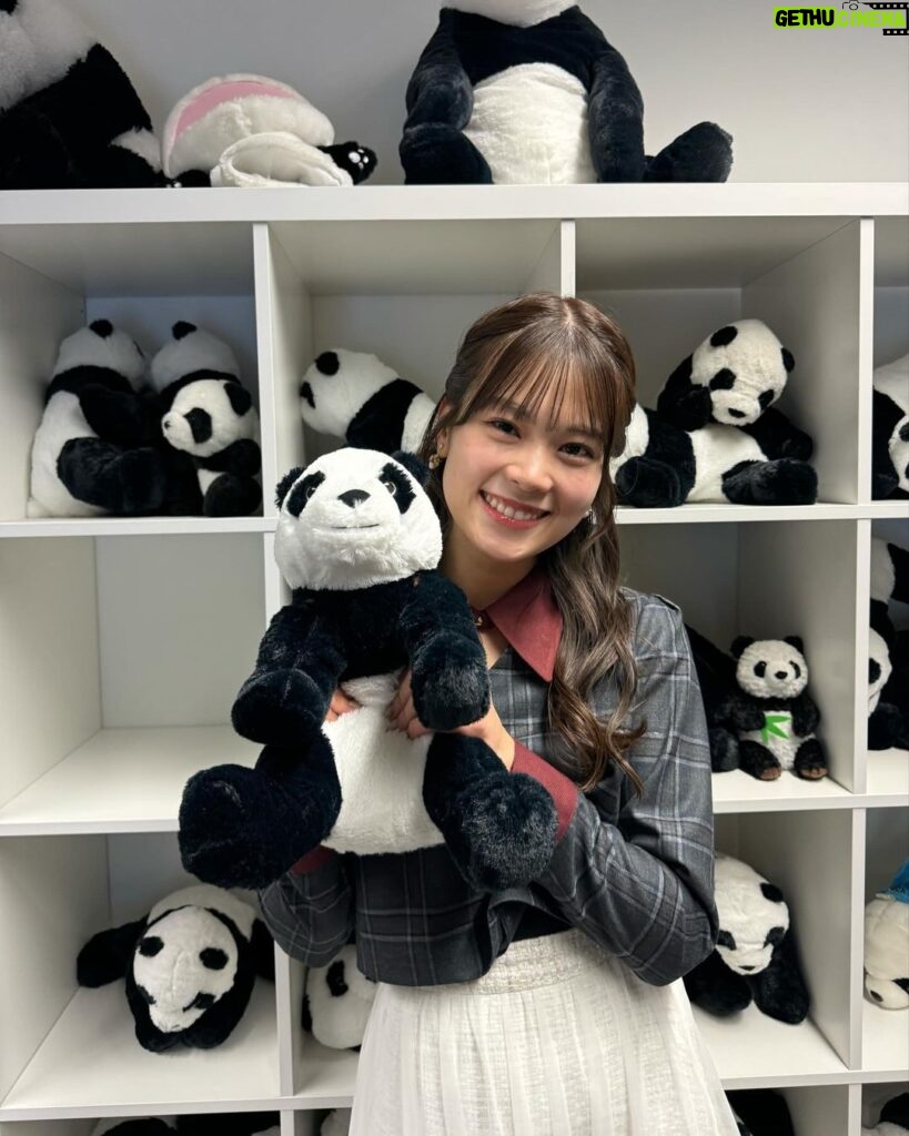 Nanase Yoshikawa Instagram - パンダに囲まれてる🐼何匹いたかなー？ #ワールド極限ミステリー