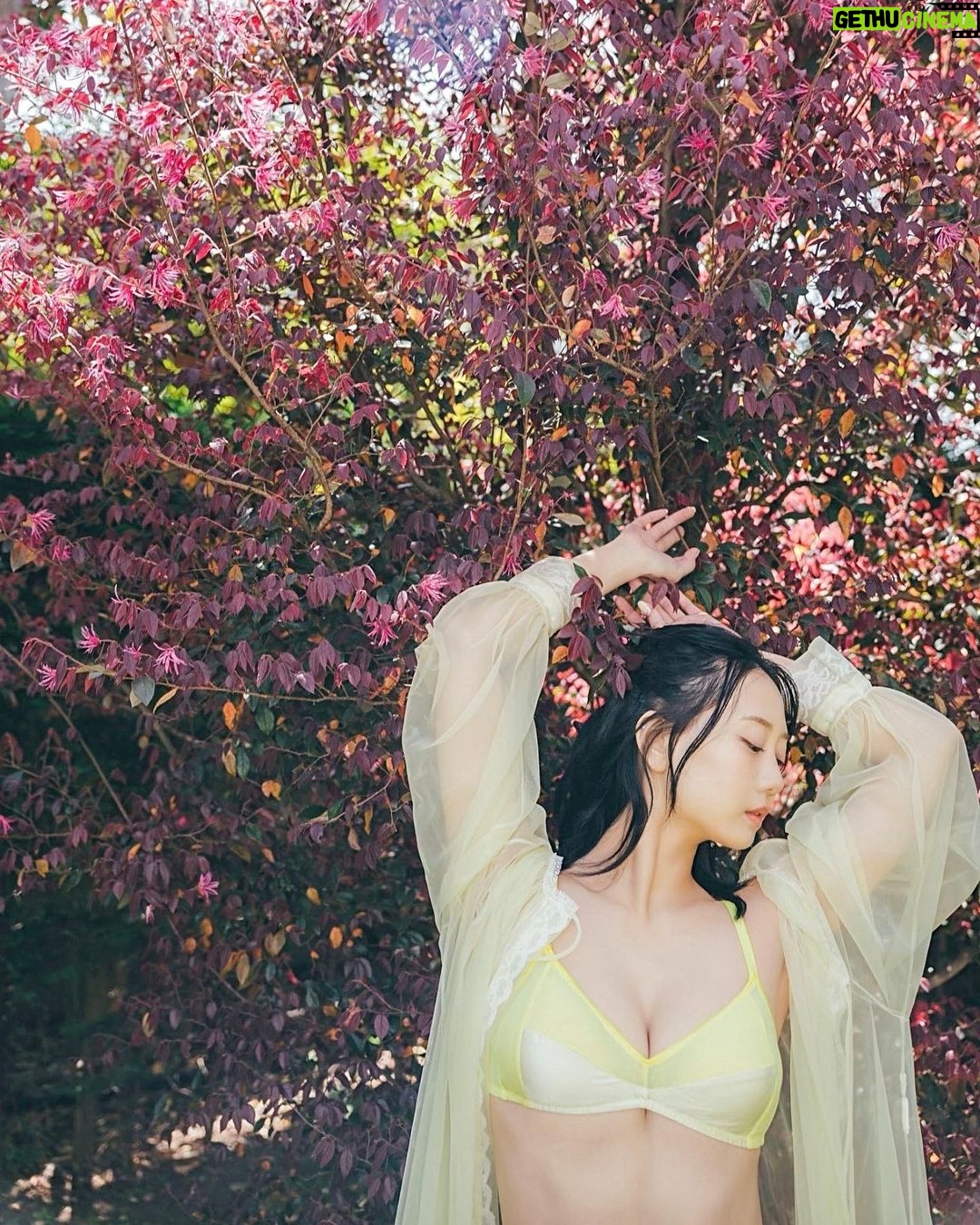 Nao Furuhata - 5.1K Likes - 週プレさんのアザーカット📷
デジタル写真集「Emer gence」は
グラジャパさんにて見れるよ!
ページ数67Pと盛り沢山な内容
撮影も楽しかった🤫🤍