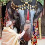Narendra Modi Instagram - Blessed to visit the Sri Ranganathaswamy Temple and the Arulmigu Ramanathaswamy Temple.