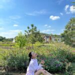Narilya Gulmongkolpech Instagram - ✨🫶🏻🩵🌷💌💘 ทิวสน Thiw Son Cafe & Homestay