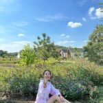 Narilya Gulmongkolpech Instagram - ✨🫶🏻🩵🌷💌💘 ทิวสน Thiw Son Cafe & Homestay