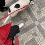 Natálie Halouzková Instagram - { spring essentials } *kyti, ženy, jídlo*