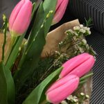 Natálie Halouzková Instagram - { spring essentials } *kyti, ženy, jídlo*