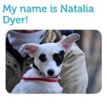 Natalia Dyer Instagram – Yo NY anybody need a sweet lil pup to help you fight off the demogorgon? 🙏🐶👉 badassbk.com