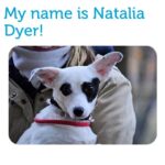 Natalia Dyer Instagram - Yo NY anybody need a sweet lil pup to help you fight off the demogorgon? 🙏🐶👉 badassbk.com