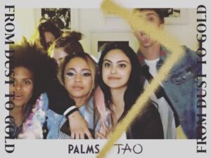 Natalia Dyer Instagram - still pulling glitter out of my hair! thanks for having us @taola @palms #PalmsLV