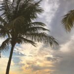 Natalia Dyer Instagram - passionfruit is the only song I'm listening to rn